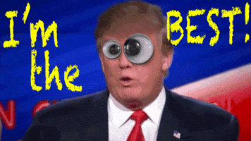 Donald Trump Hair GIF