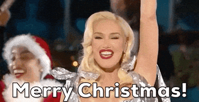 Merry Christmas GIF by NBC