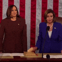 Kamala Harris Politics GIF by The Democrats