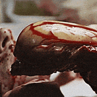 alien ridley scott GIF by foxhorror