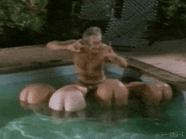 butts butt bongos GIF