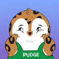 Penguin Omg GIF by Pudgy Penguins