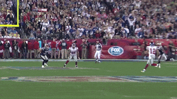 new york giants GIF