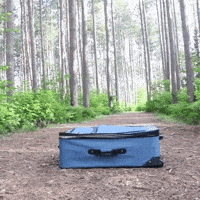 Dog Travel GIF Dog Travel GIF