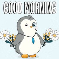 Good Morning GIF by Pudgy Penguins Good Morning GIF by Pudgy Penguins
