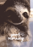 Morning Reaction GIF by Tikivideo Morning Reaction GIF by Tikivideo