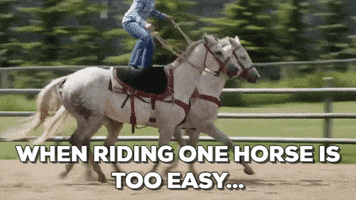 horses heartland GIF by CBC