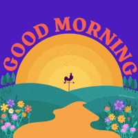 Good Morning GIF Good Morning GIF