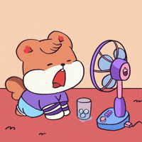 Sweating Summer Time GIF by Muffin & Nuts