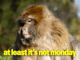 Another One Friday GIF by Sealed With A GIF Another One Friday GIF by Sealed With A GIF