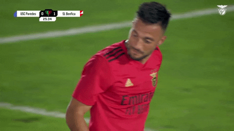 Sl Benfica Smile GIF by Sport Lisboa e Benfica
