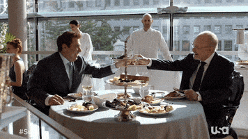 Usa Network Television GIF by Suits