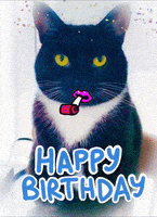Happy Birthday Party GIF