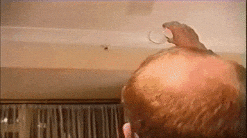 scared cup GIF by America's Funniest Home Videos