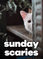 Scared Leave Me GIF by Sealed With A GIF Scared Leave Me GIF by Sealed With A GIF