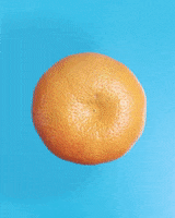 Orange Fruit Loop GIF by cintascotch
