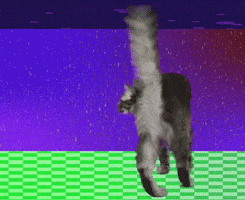 T-Bell Tacos GIF by Taco Bell T-Bell Tacos GIF by Taco Bell
