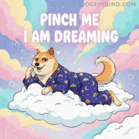 Happy Shiba Inu GIF by Doge Pound