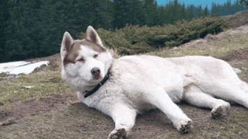 Chill Out GIF by MTVU Chill Out GIF by MTVU
