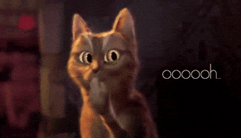 Puss In Boots Cat GIF Puss In Boots Cat GIF