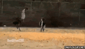 ostrich running GIF