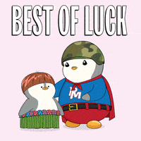 Lets Go Thumbs Up GIF by Pudgy Penguins