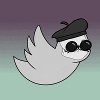 Fun Flying GIF by Sappy Seals Community