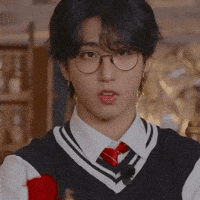 Stray Kids Skz GIF