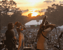 live music festival GIF by The Revivalists