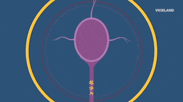 viceland GIF by WEEDIQUETTE