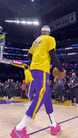 Lebron James Sport GIF by NBA