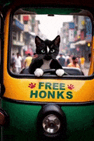 Traffic Jam India GIF by Felini Rocks