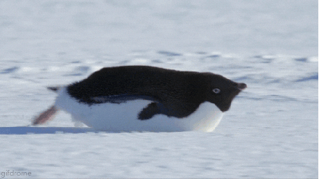 Snow Sliding GIF
