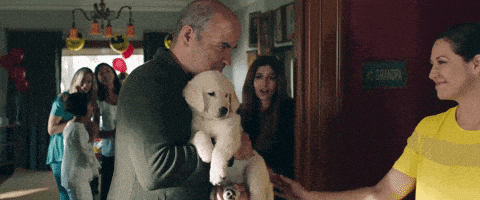 golden retriever puppy GIF by Marshmello