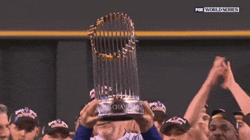 Major League Baseball Sport GIF by MLB