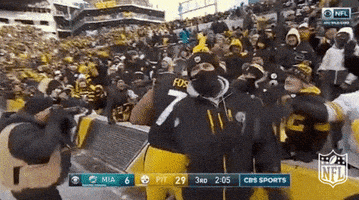 Pittsburgh Steelers Football GIF by NFL