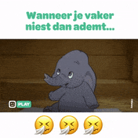 play dumbo GIF by telenet