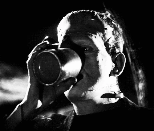 Bride Of Frankenstein Film GIF