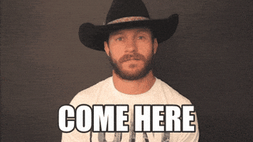 Come Here Ufc 205 GIF by UFC