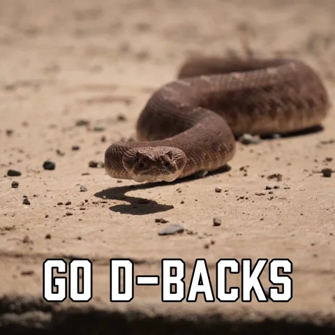 Arizona Diamondbacks Sport GIF