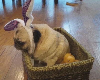 Easter Sunday Lol GIF