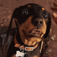 Best Boy Dog GIF by Far Cry 6