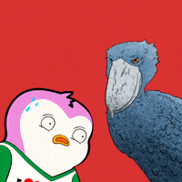 Penguin Staring GIF by Pudgy Penguins