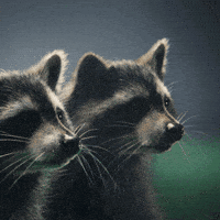 Electrifying Electric Vehicle GIF by Škoda Global