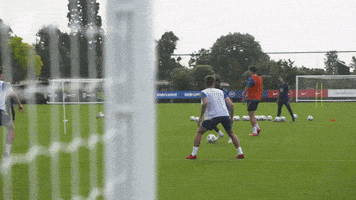 Save Three Lions GIF by England