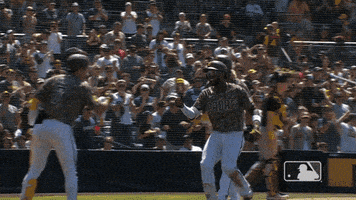 Happy Major League Baseball GIF by San Diego Padres