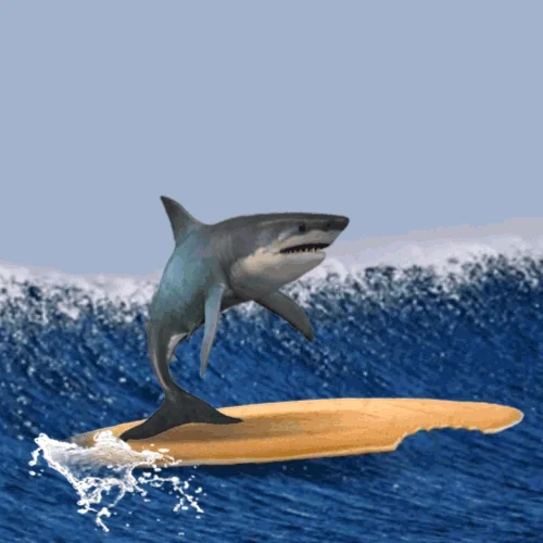 Loop Beach GIF