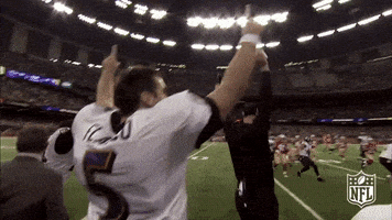 baltimore ravens football GIF by NFL