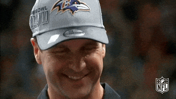 baltimore ravens football GIF by NFL