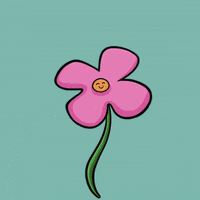 Flower Grow GIF by JellaCreative
